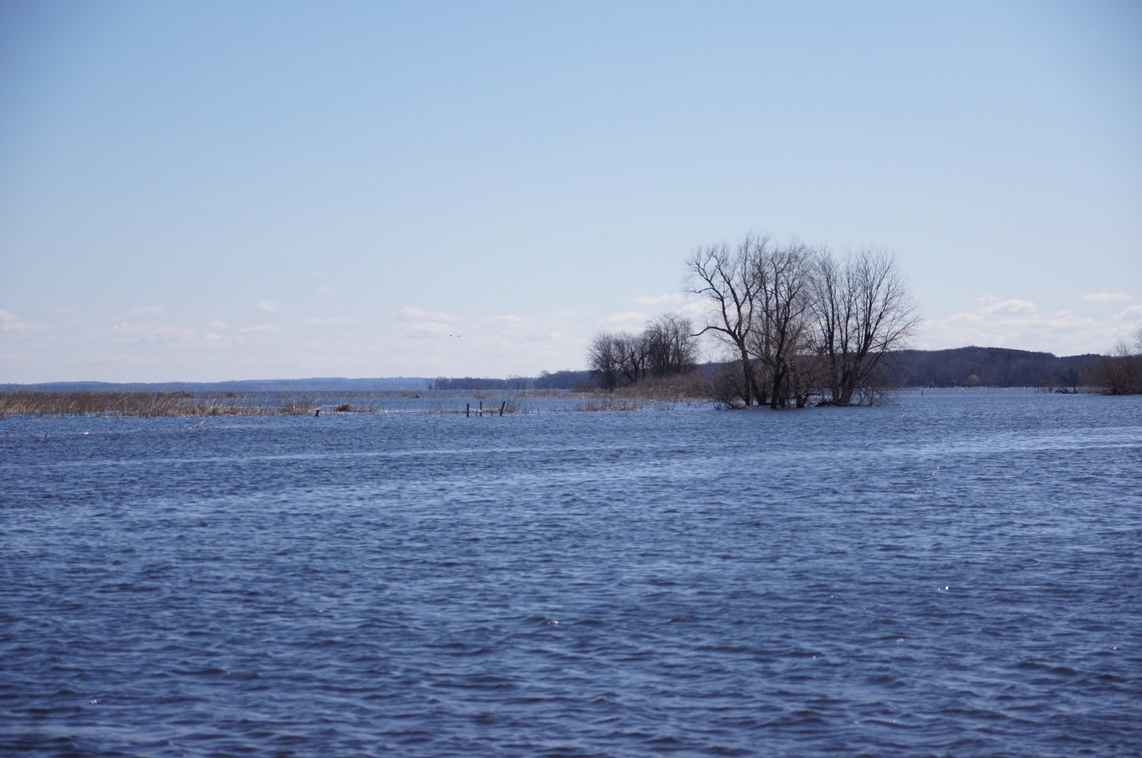 Lake Puckaway April 20, 2013 Water Monitoring Report