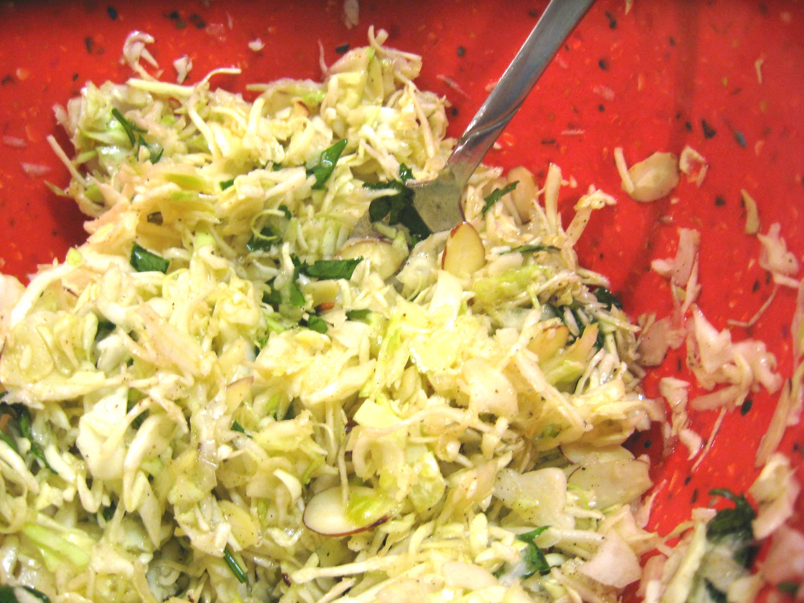 Carrie S. Forbes Cumin Honey Salad Dressing Recipe