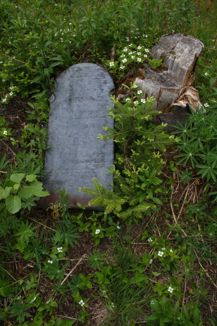 ICH Blog Graveyard Mystery photos of unusual tin grave markers from