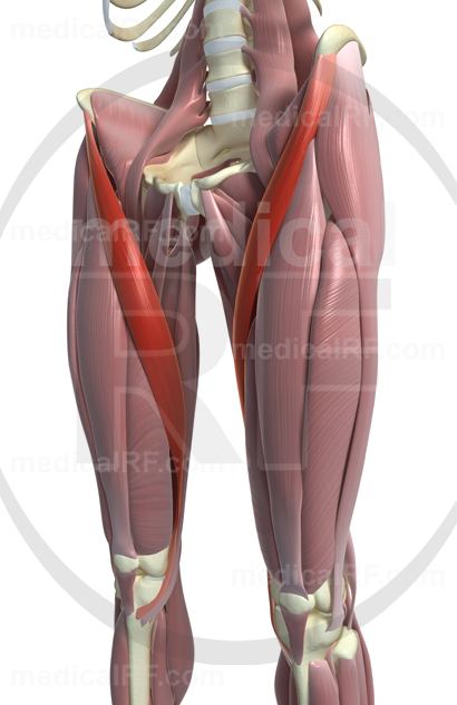 Layers of the Ongion: The day I lifted 600 lbs.....