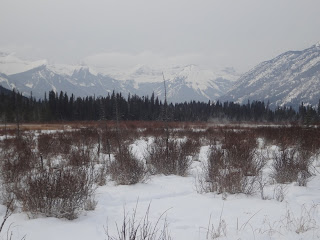 banff alberta