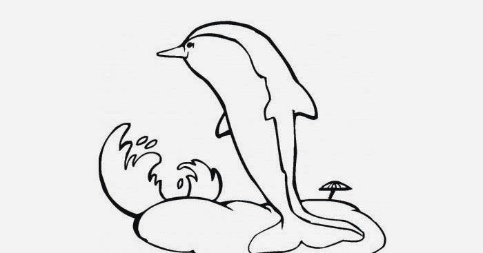 Dolphin coloring pages | Free Coloring Pages and Coloring Books for Kids