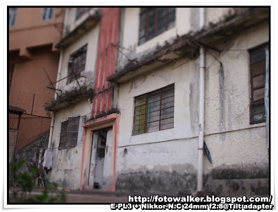 永利街 (Wing Lee Street)