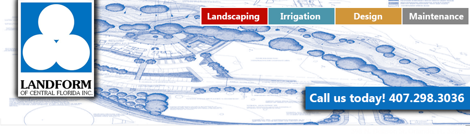 Landform of Central Florida