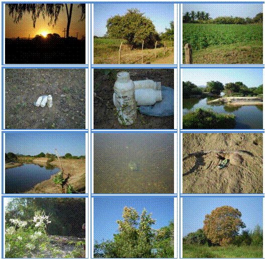 Fotos da Trilha realizada ao longo do Rio Salgado, em jun/08. Fonte: Acervo do professor Anselmo