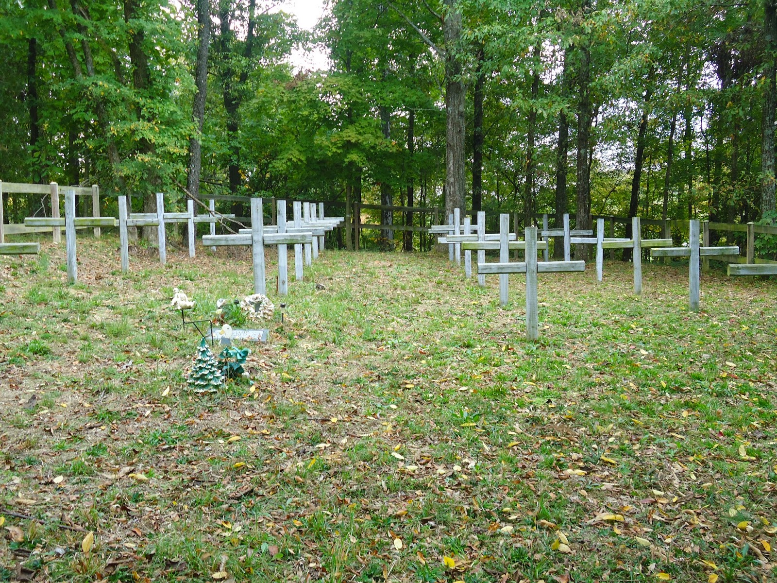 Watkins of Kentucky Genealogy Grayson County Poor House Cemetery
