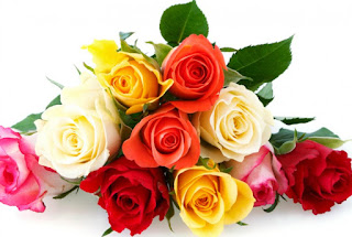 Τριαντάφυλλα: Δείτε τι σημαίνει κάθε χρώμα!