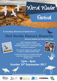 Wirral Wader Festival 2017