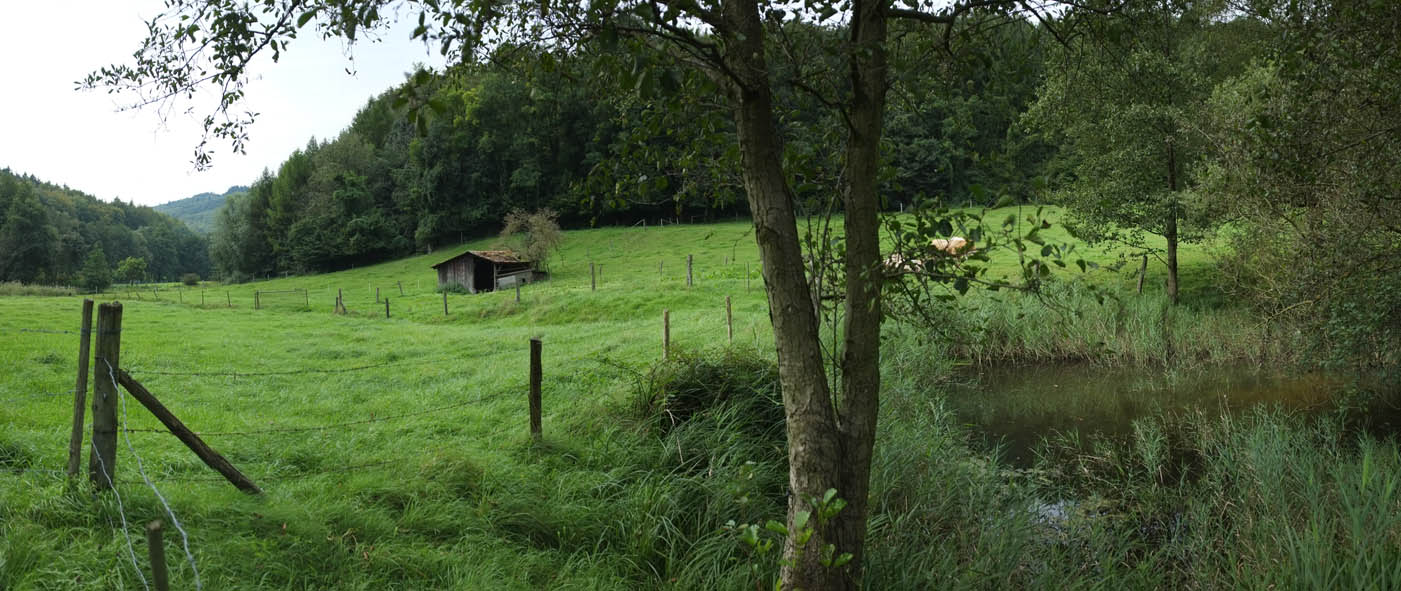 Pegida Das Spiegelbild Der Apo Pjr