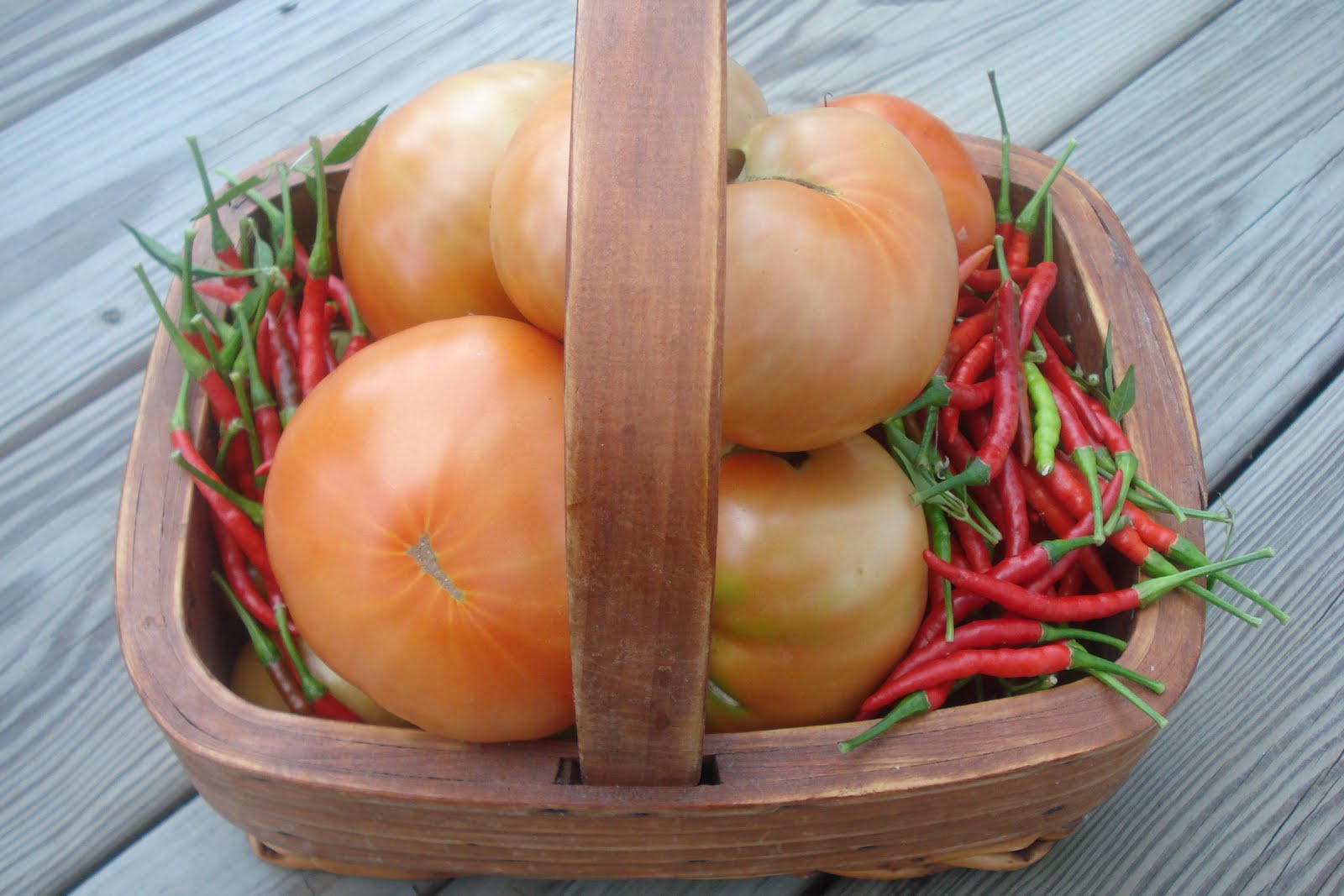 Garden Tomato salsa
