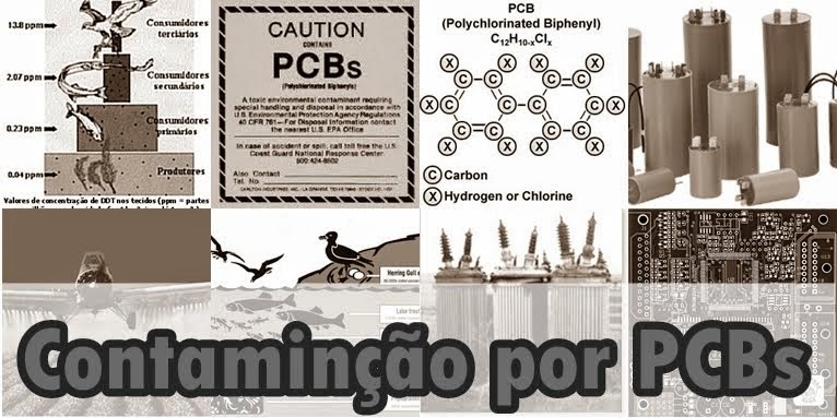 Contaminação por PCBs