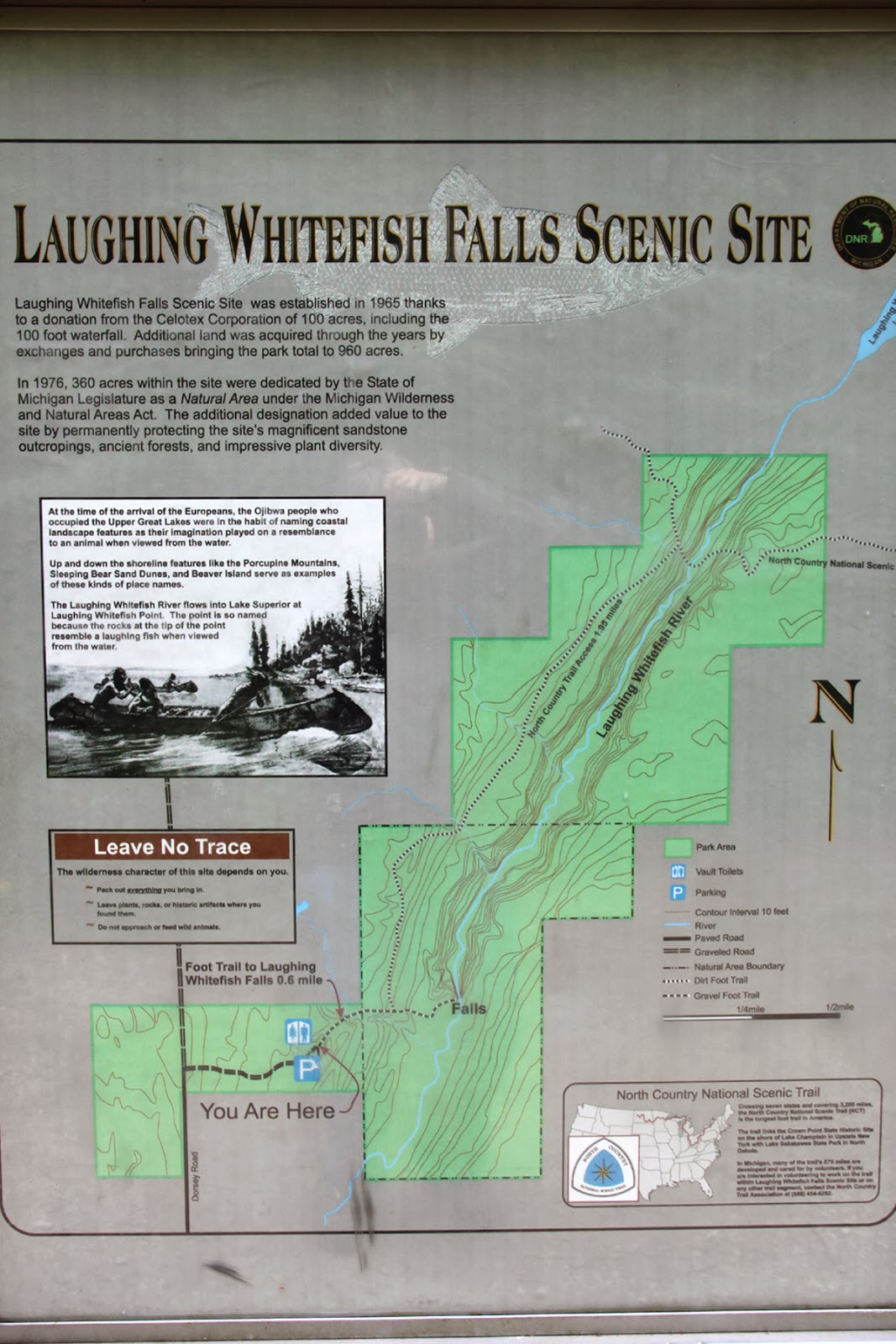 The Rambling Wren Laughing Whitefish Falls