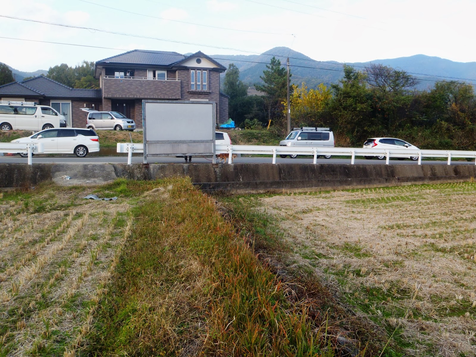 西国の山城 芝生城 徳島県三好市三野町芝生