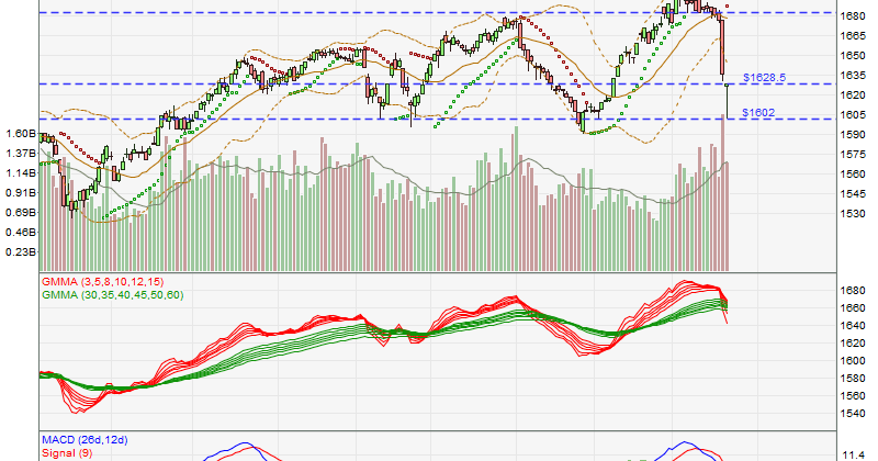 overreaction and stock market