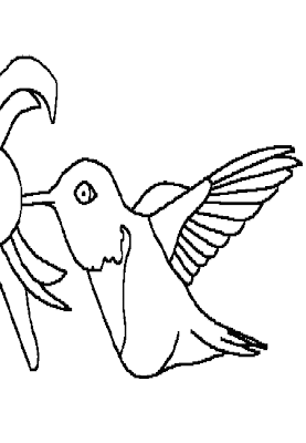 desenhos de beija flor para imprimir e colorir pintar imagens