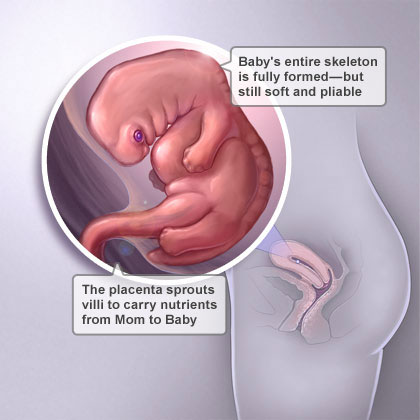 Senang Hamil Berjaya Hamil Kembar 7 Minggu