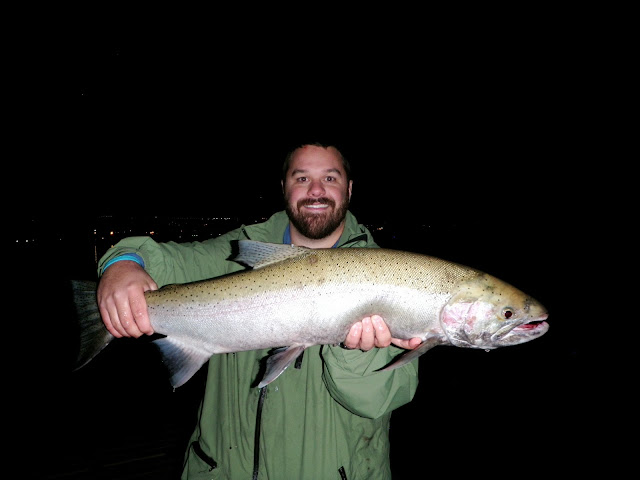 Clearwater River Steelhead