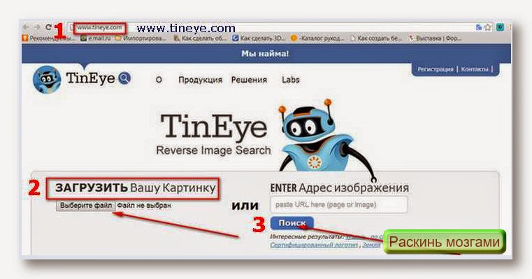 Легкие способы проверки уникальности сервисом Tineye (Тинай).