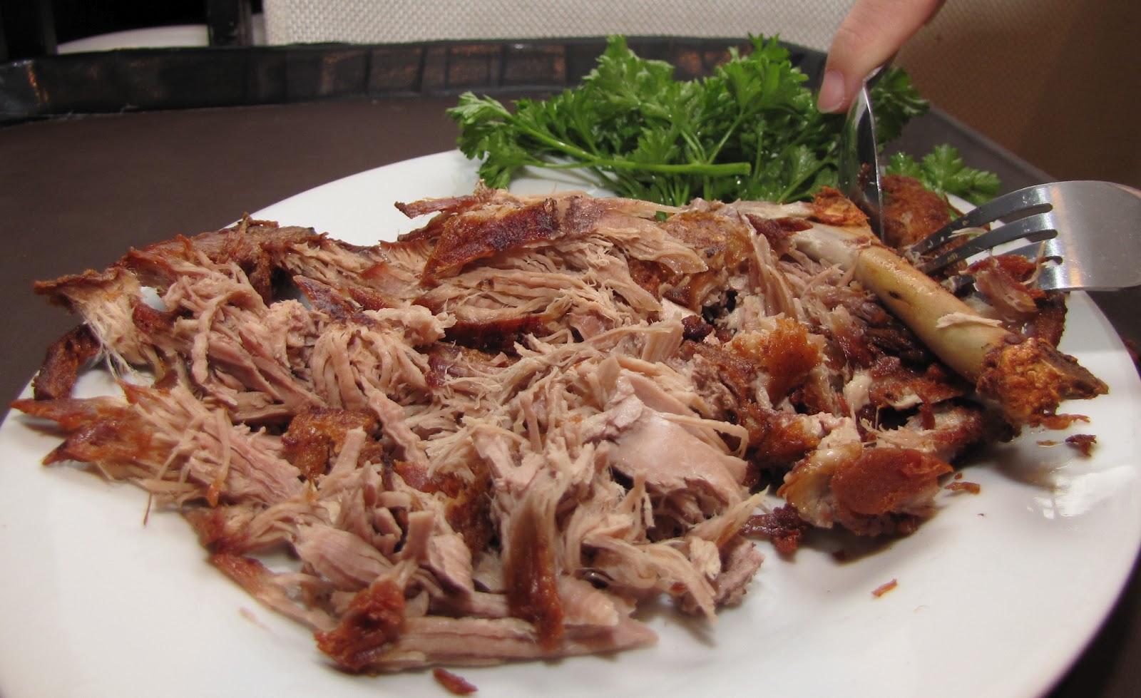 Village Roast Duck, Bangsar Village I, Malaysia The Yum List