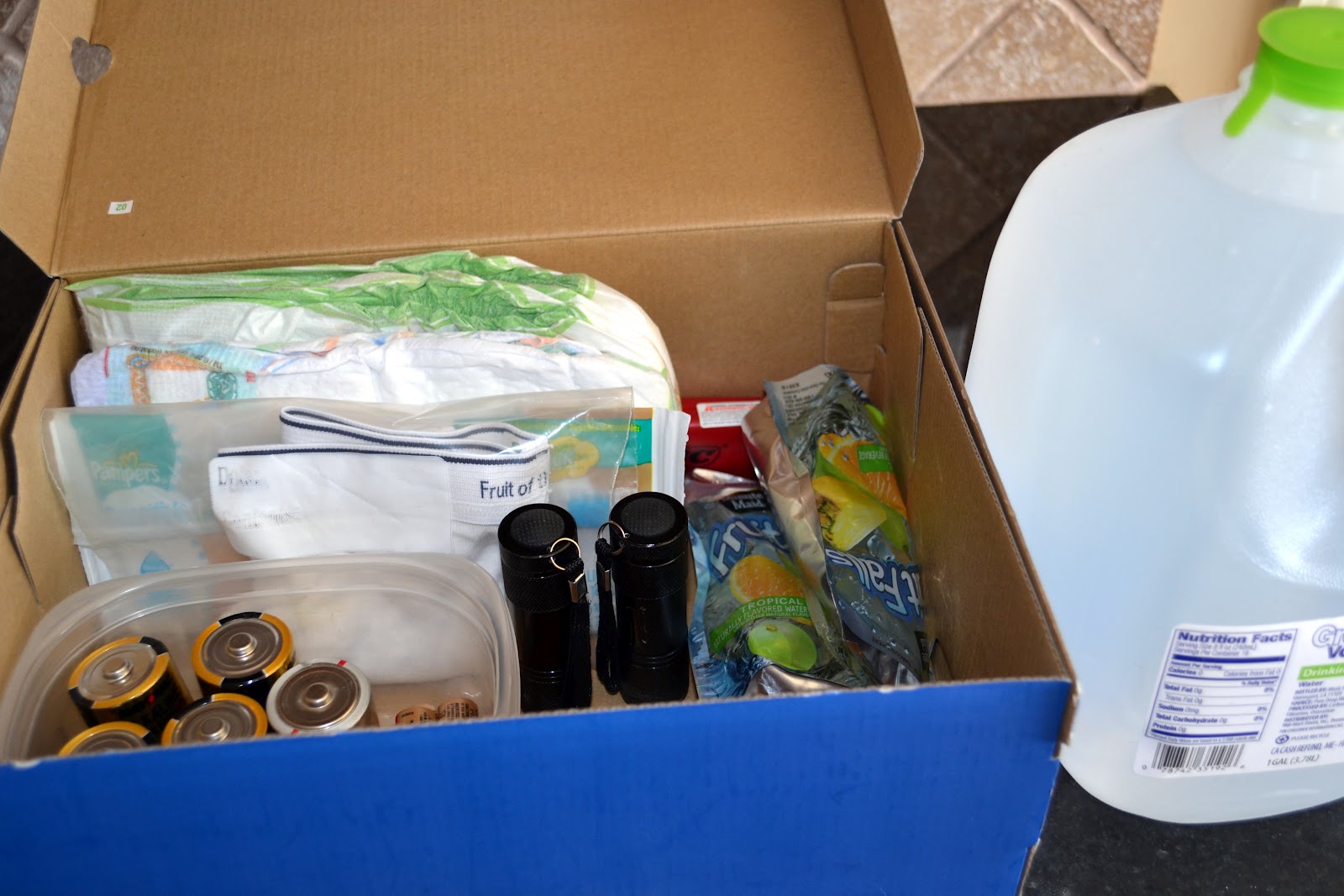 Erin's 2 Cents Emergency Kit