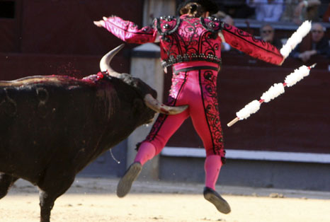 taringa taringa