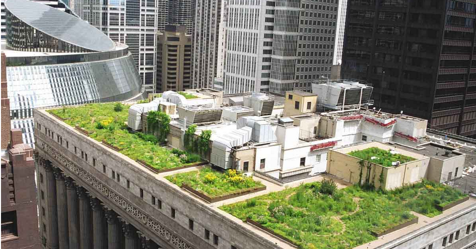 TRANSFORMA ARQUITECTOS: TECHOS O CUBIERTAS VERDES