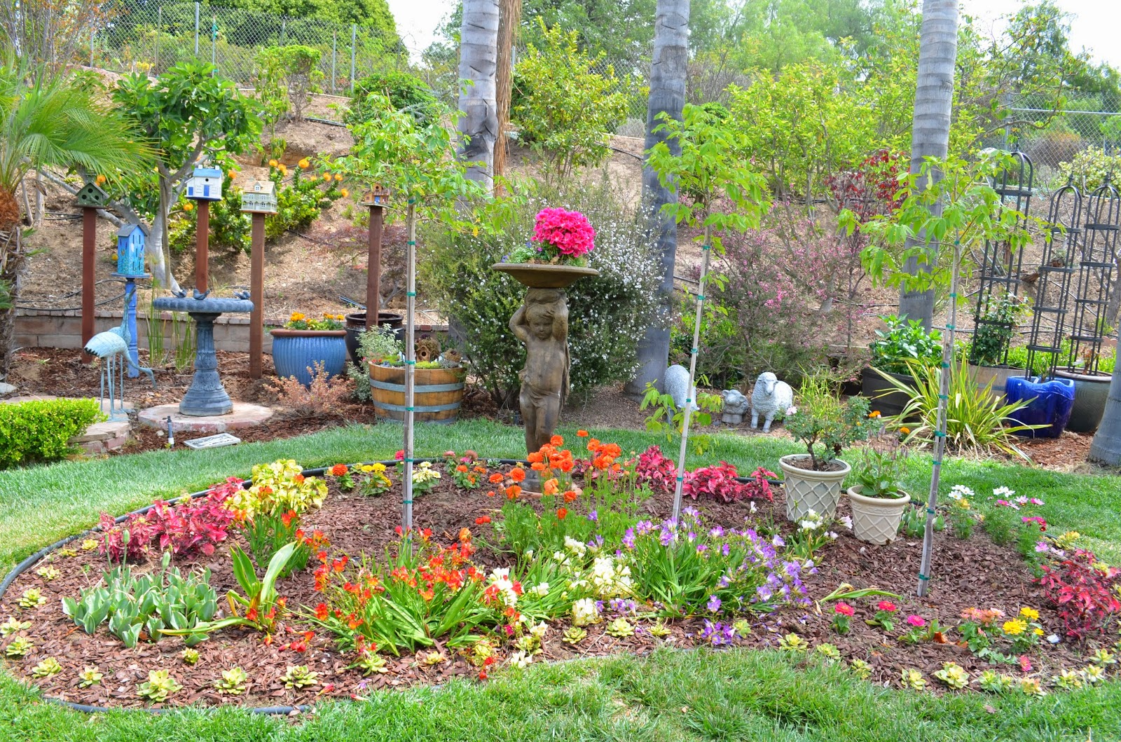 Entertaining From An Ethnic Indian Kitchen Garden Tour 1