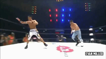 [IMAGE:http://2.bp.blogspot.com/-YnEDa1T_D5k/U9LCljxZEgI/AAAAAAAALI0/HMSjbSFdpHg/s1600/Running+Knee.gif]