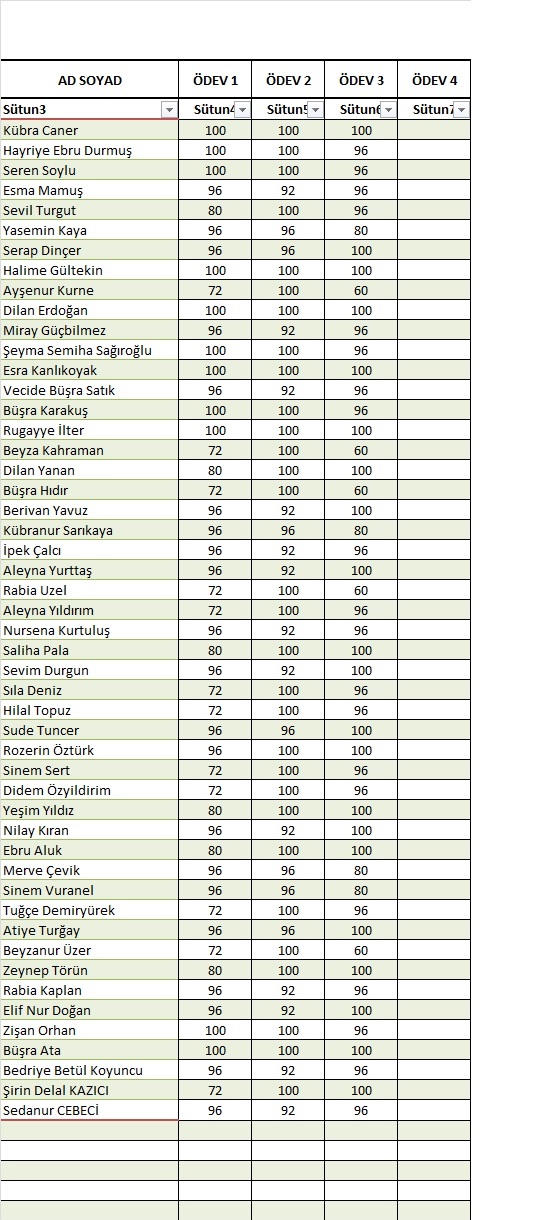 Medipol Universitesi Halic Yerleskesi On Lisans Cocuk Gelisimi Bolumu 2015