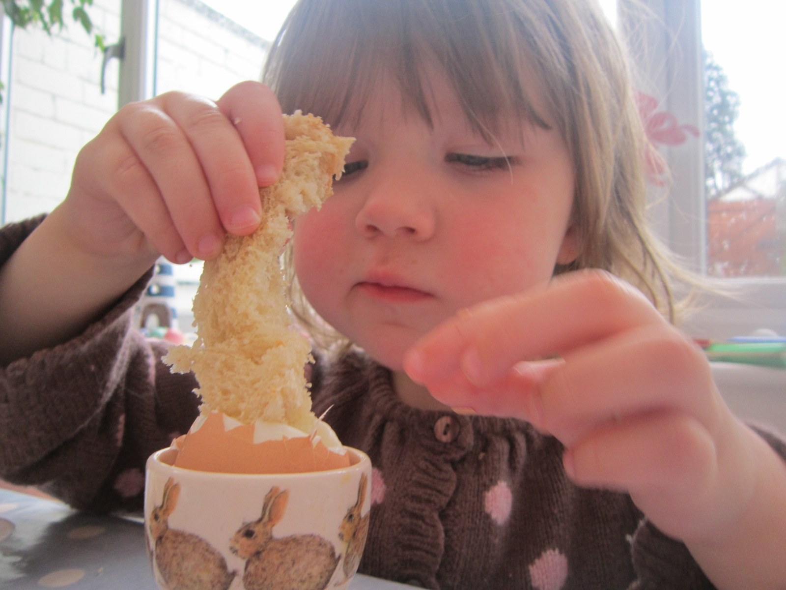 4 kids, 2 guinea pigs one happy family April Showers, snow showers!