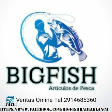 Big Fish art. de Pesca