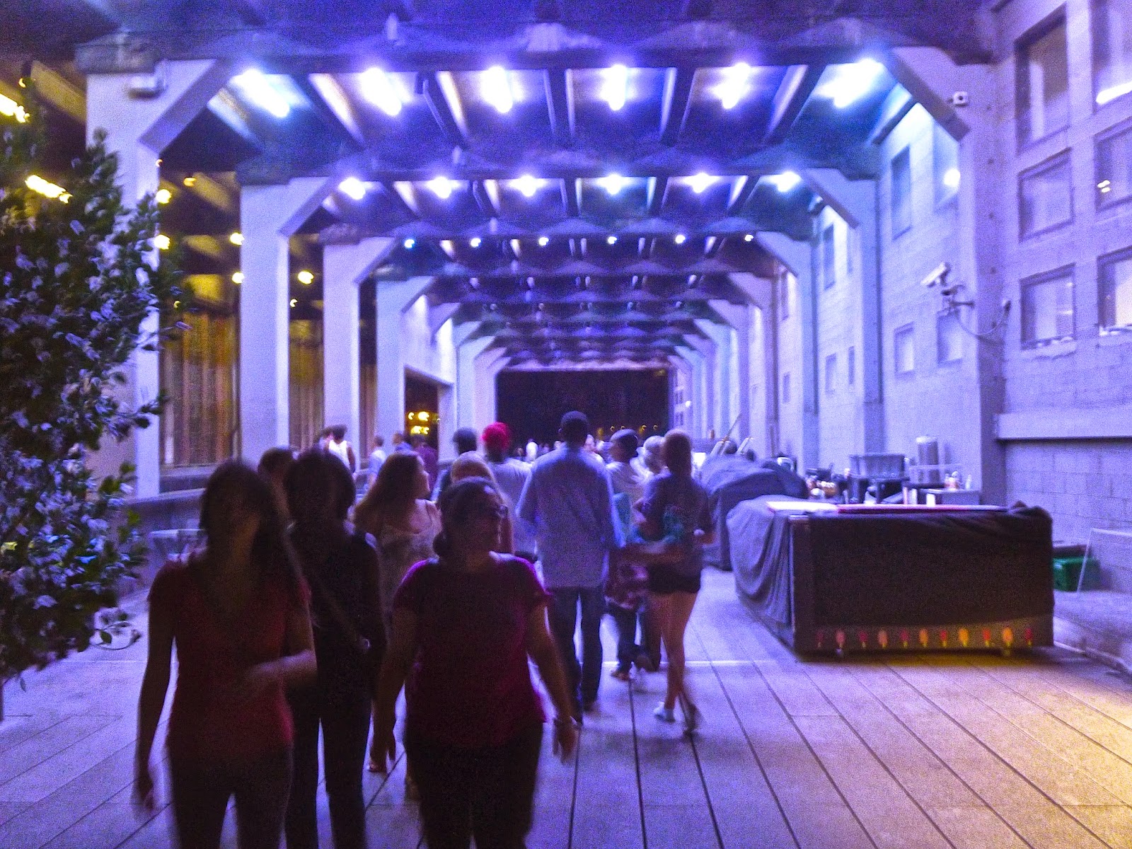 DriveByCuriosity  New York City  The  High Line  Impressions From