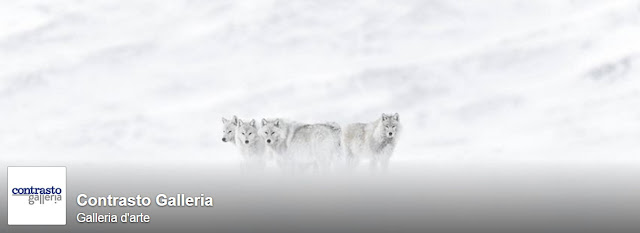 Vincent Munier espone alla Contrasto Galleria Vincent Munier espone alla Contrasto Galleria