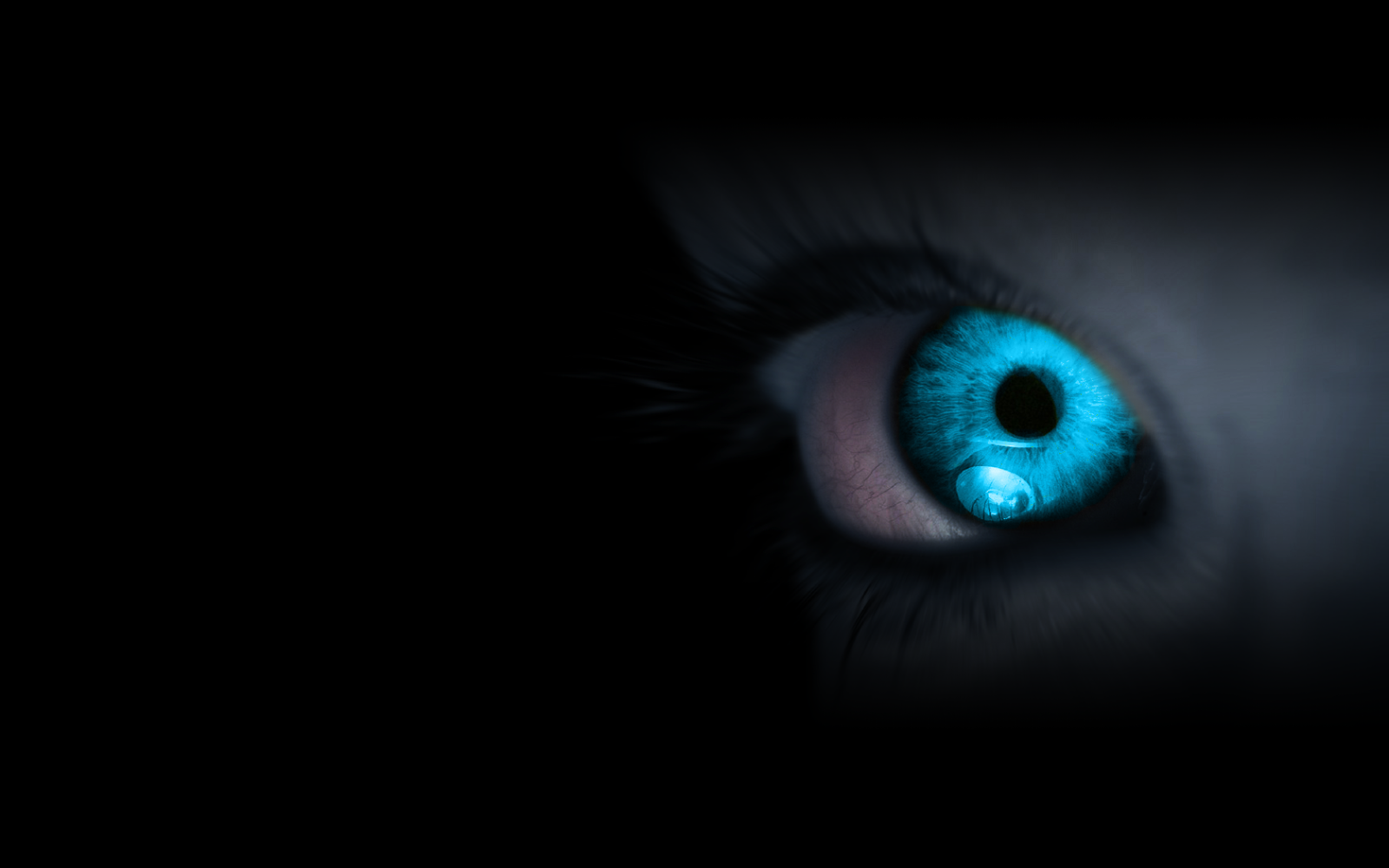http://2.bp.blogspot.com/-YplS_S7aFpA/UPZ-y3YY0WI/AAAAAAAAAF4/8deztjNm2-0/s1600/wallpaper1-5.jpg