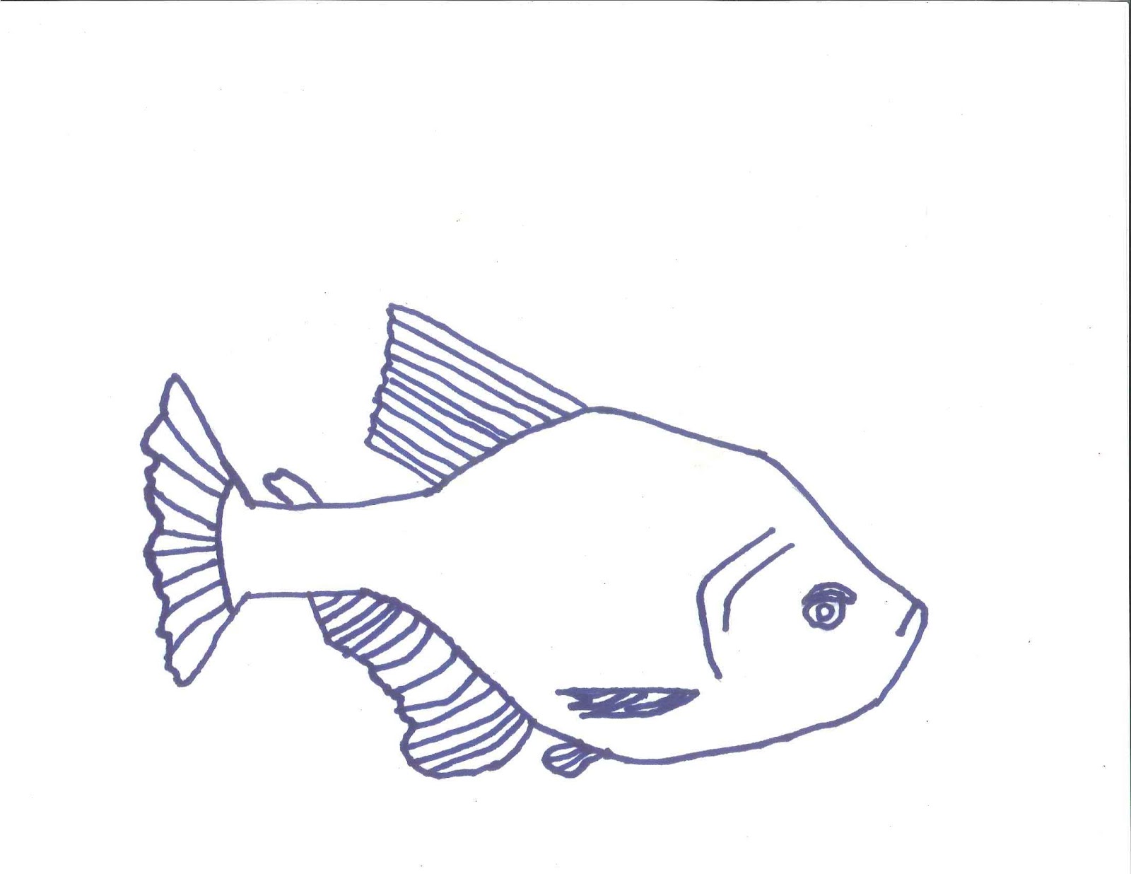 Line Art Grade 2 : Fish line drawings th grade art