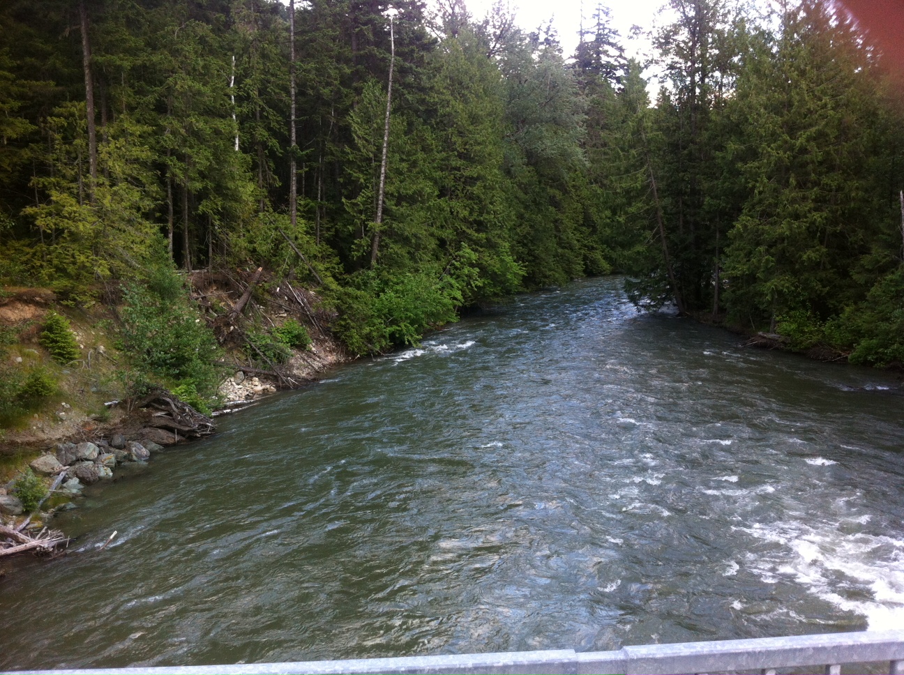 Pemberton Fish Finder, BC Fishing Reports, Whistler, Pemberton