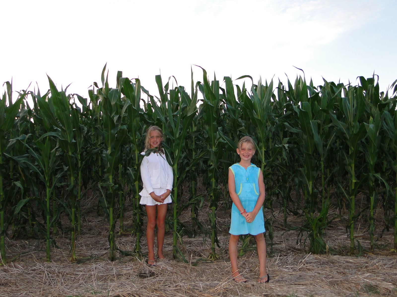 rain makes corn