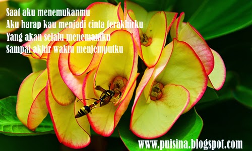 Puisi Cinta Saat Aku Menemukanmu Puisi Cinta Saat Aku Menemukanmu
