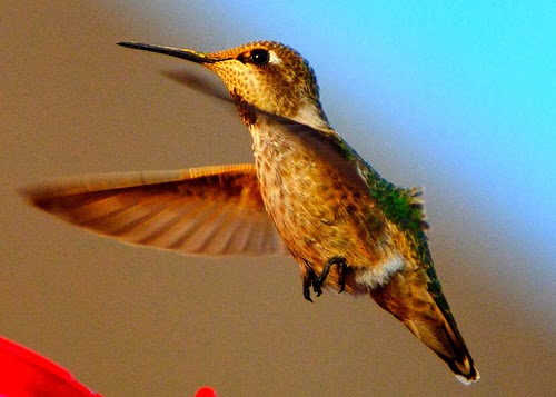 http://www.flickr.com/photos/cdye/2630237358/