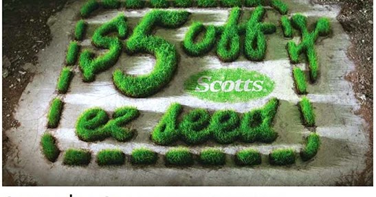 Scotts grass seed coupons