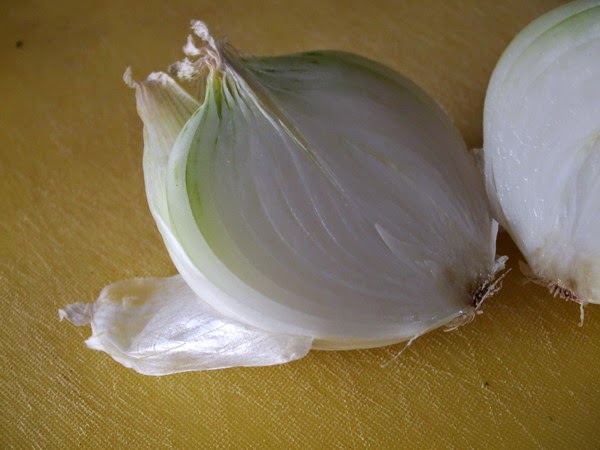 onion epidermis You should be able to describe how to prepare a microscope slide of stained onion cells here is a typical method: lay the layer of epidermis on a microscope slide. onion epidermis You should be able to describe how to prepare a microscope slide of stained onion cells here is a typical method: lay the layer of epidermis on a microscope slide.
