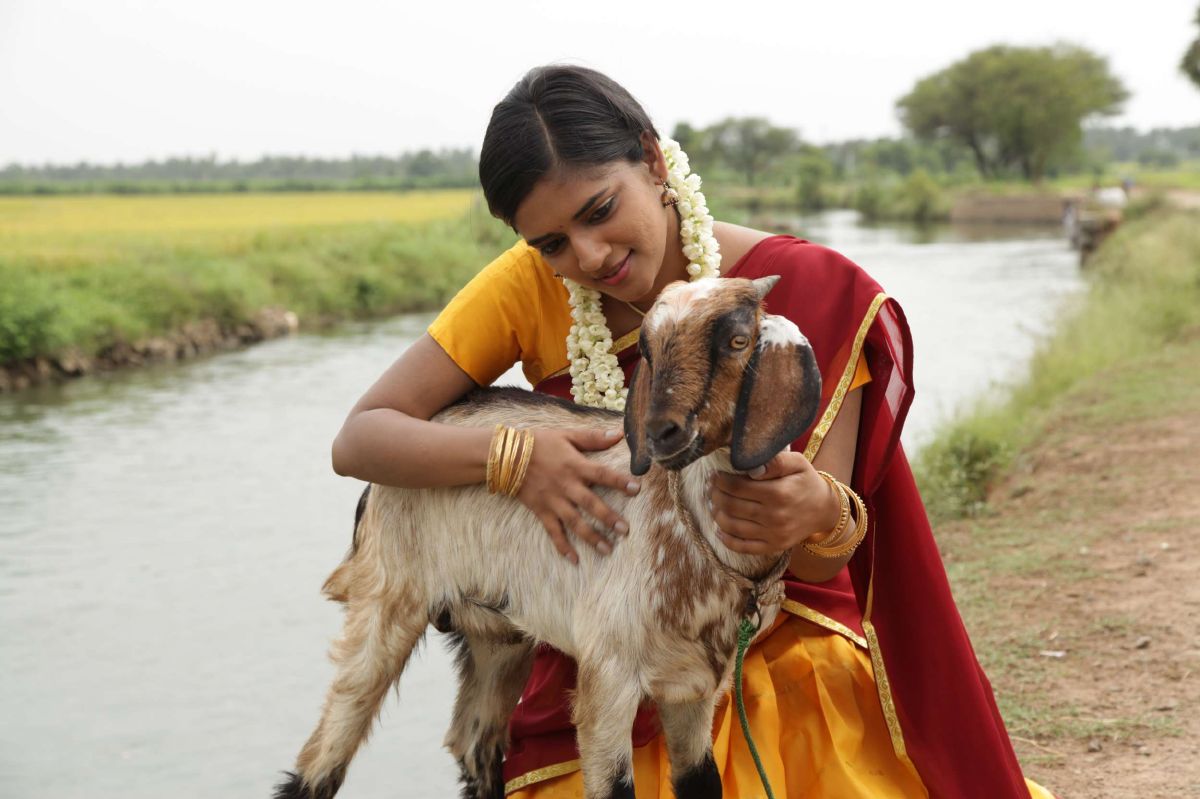 Sonna-Puriyathu-Heroine-Vasundhara-Kashyap-Stills