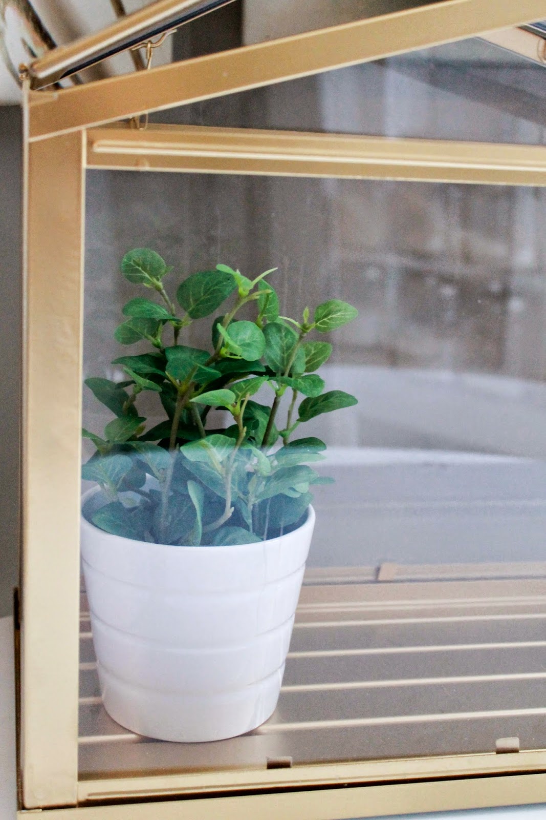Sherwood Drive Ikea Hack Gold Terrarium/Green House