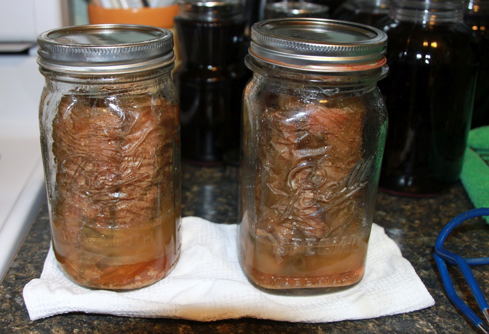 Retirement and Back to the Basics Stevia and Canned Bacon