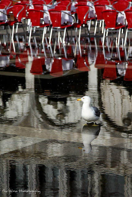 Venice Aqua Alta