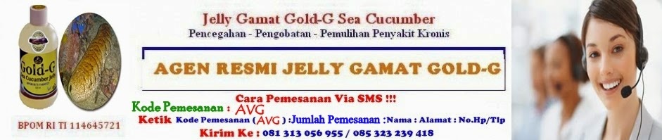 Header Jelly Gamat Gold - G 