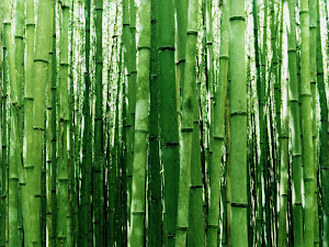 Bambu de la Suerte