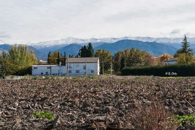 Un campo con vistas