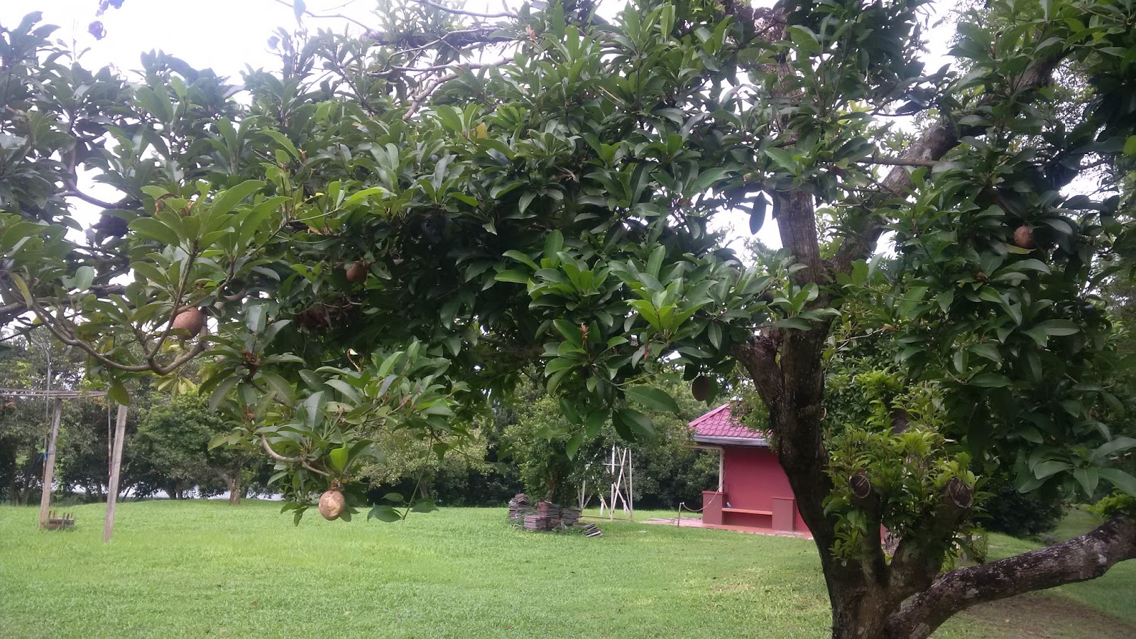 All about Malaysia Taman Herba Herbs Garden