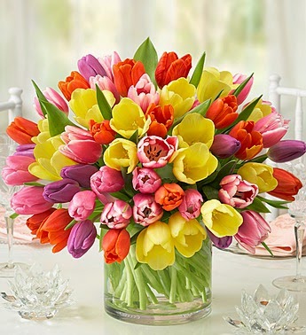 Tulips Best flowers delivery Tulips Best flowers delivery